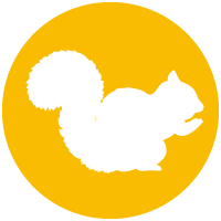 Animal Removal Icon