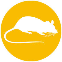 Mice and Rat Removal Icon