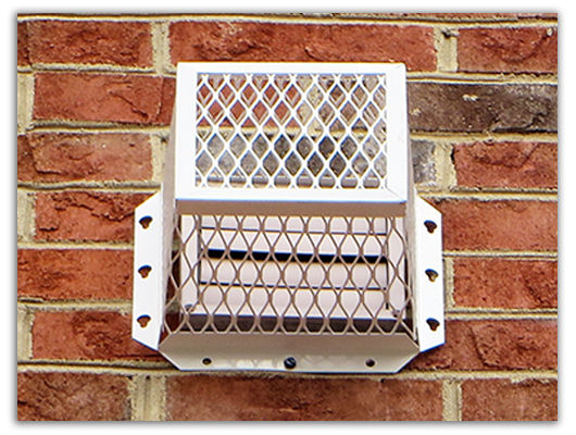 vent critter control removal raleigh