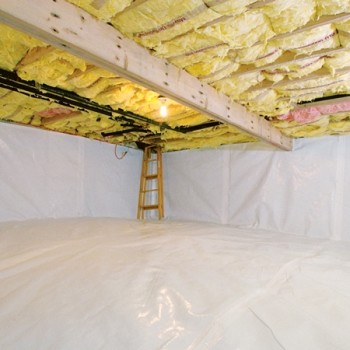 crawlspace 1 350x350