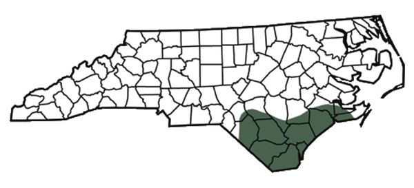 carolina Eastern DiamondBack Region Map