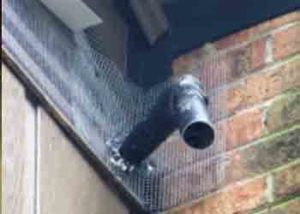 secondary condensate