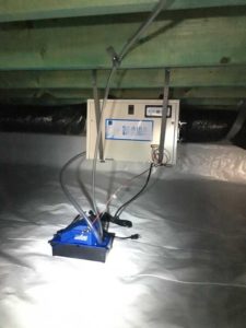 Dehumidifier and Condensate Pump Critter Control Triangle