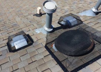Roof Vents Protected Critter Control Triangle