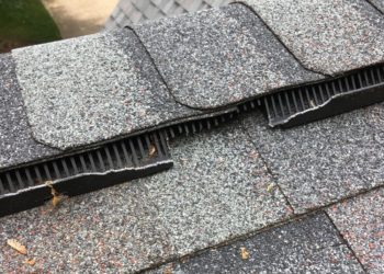 Ridge Vent Chewed By Flying Squirrels